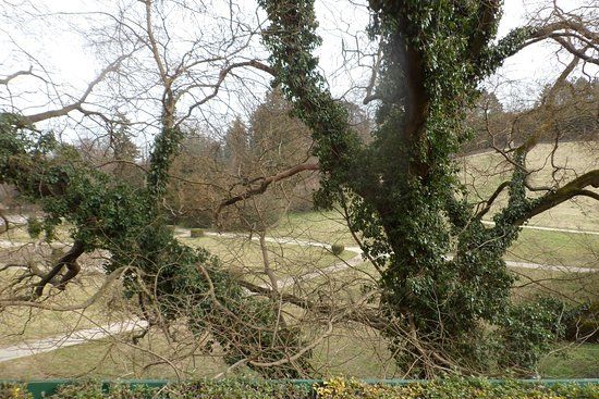 Zámecký park