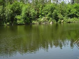 Přehrada Jevišovice