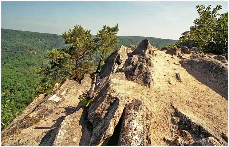 Sealsfieldův kámen