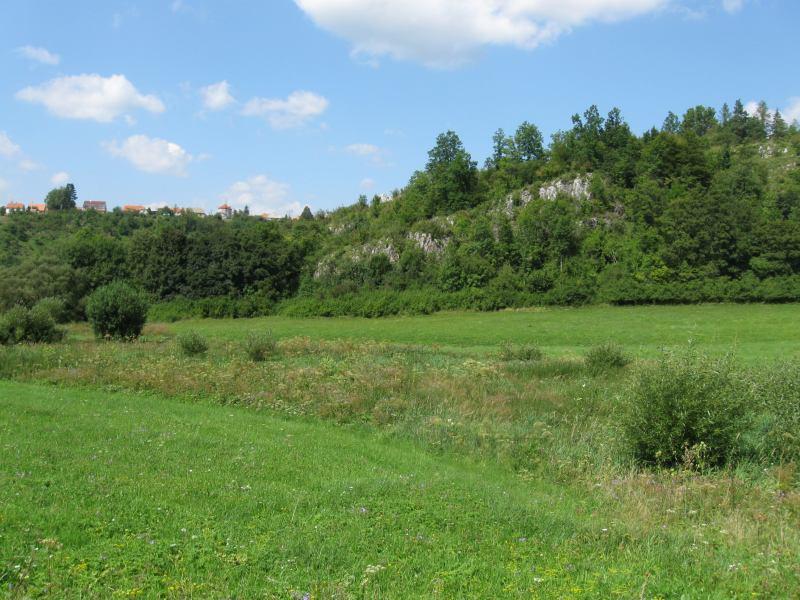 Balcarová skála